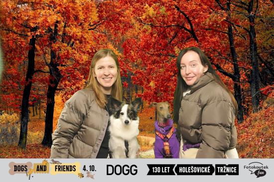 Fotografie z alba dogs-and-friends-–-podzimni-edice-2025,-holesovicka-trznice